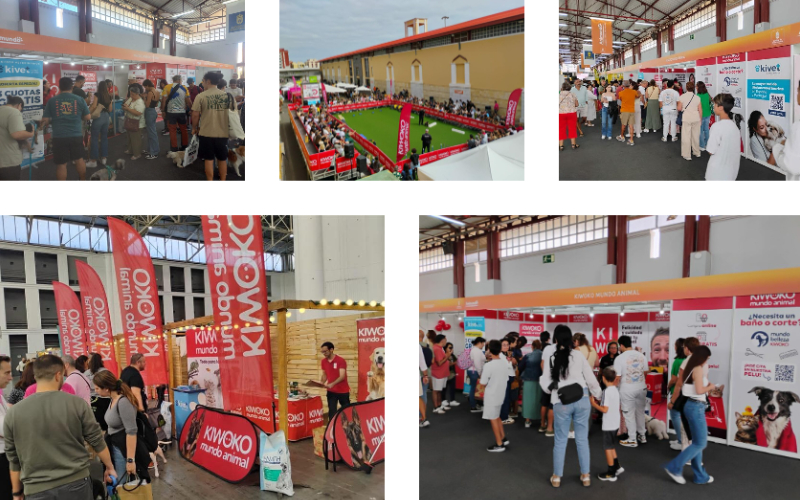 Ferias Kiwoko 2025