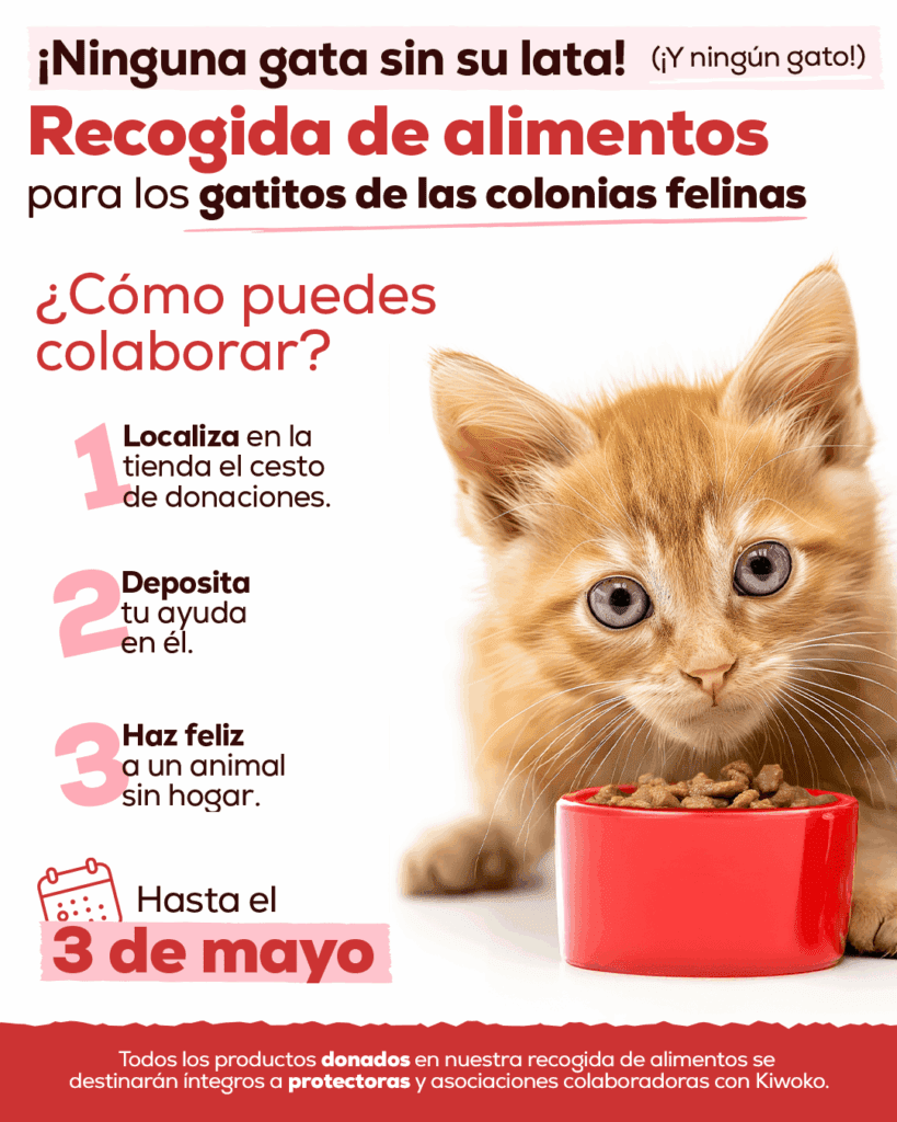 Ninguna gata sin su lata