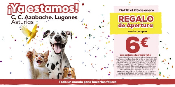 Apertura Kiwoko lugones azabache regalo