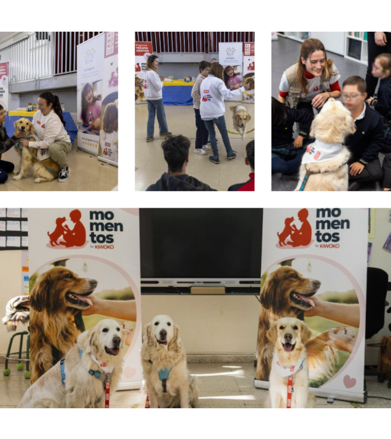 Programa momentos kiwoko