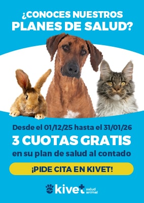 Kivet planes de salud sidebar diciembre enero