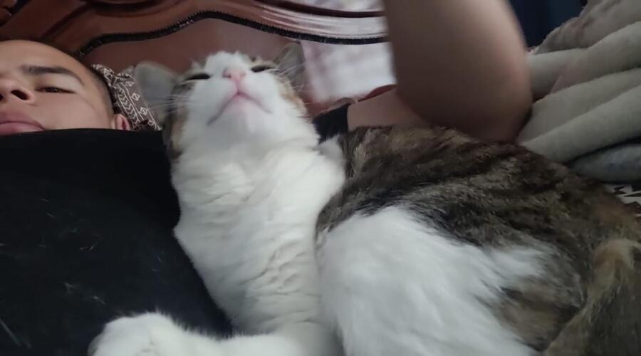 Adopción de Dani por Cristian