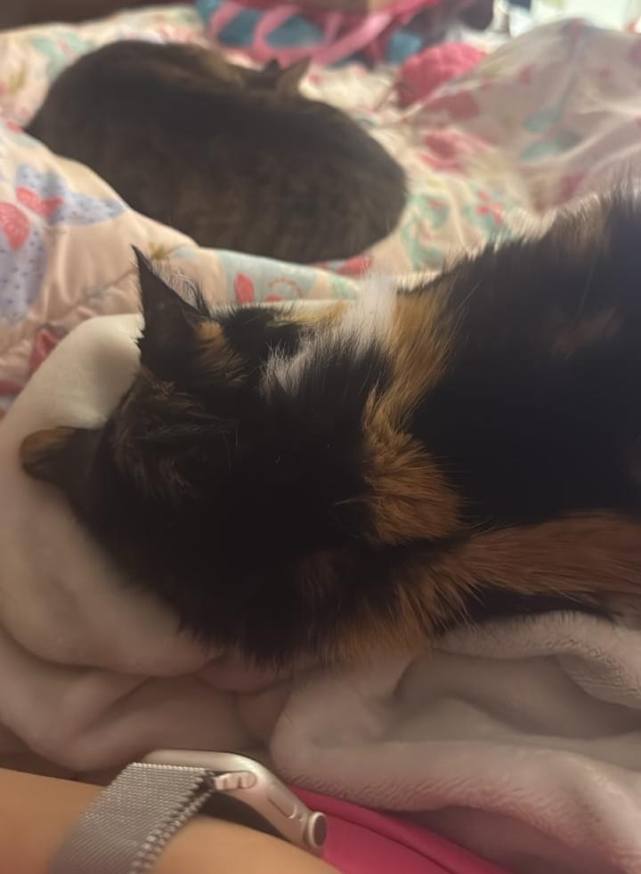 Dina Chiro y Maria adopcion