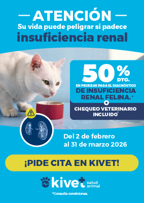 Campaña insuficiencia renal