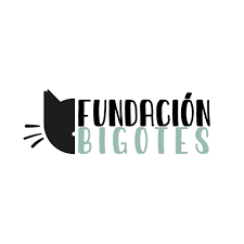 Fundación Bigotes