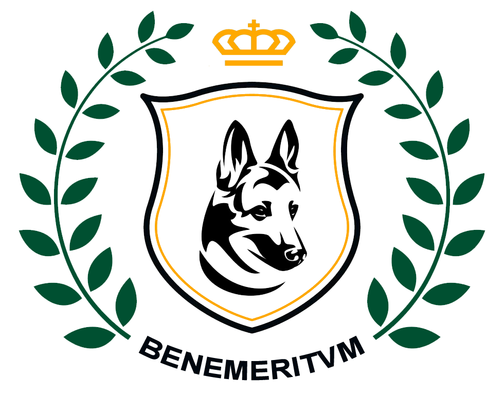 Benemeritvm