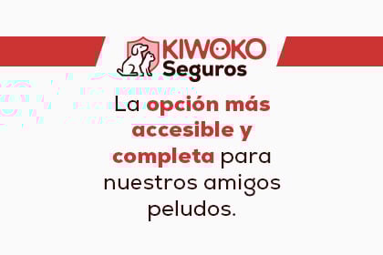 Banner higiene perro