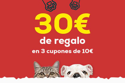 Banner juguetes perro