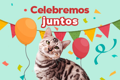 Banner h&uacute;medo gato