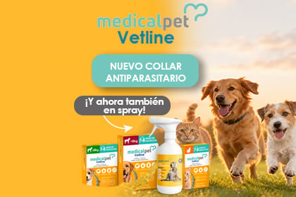 Banner paseo perro