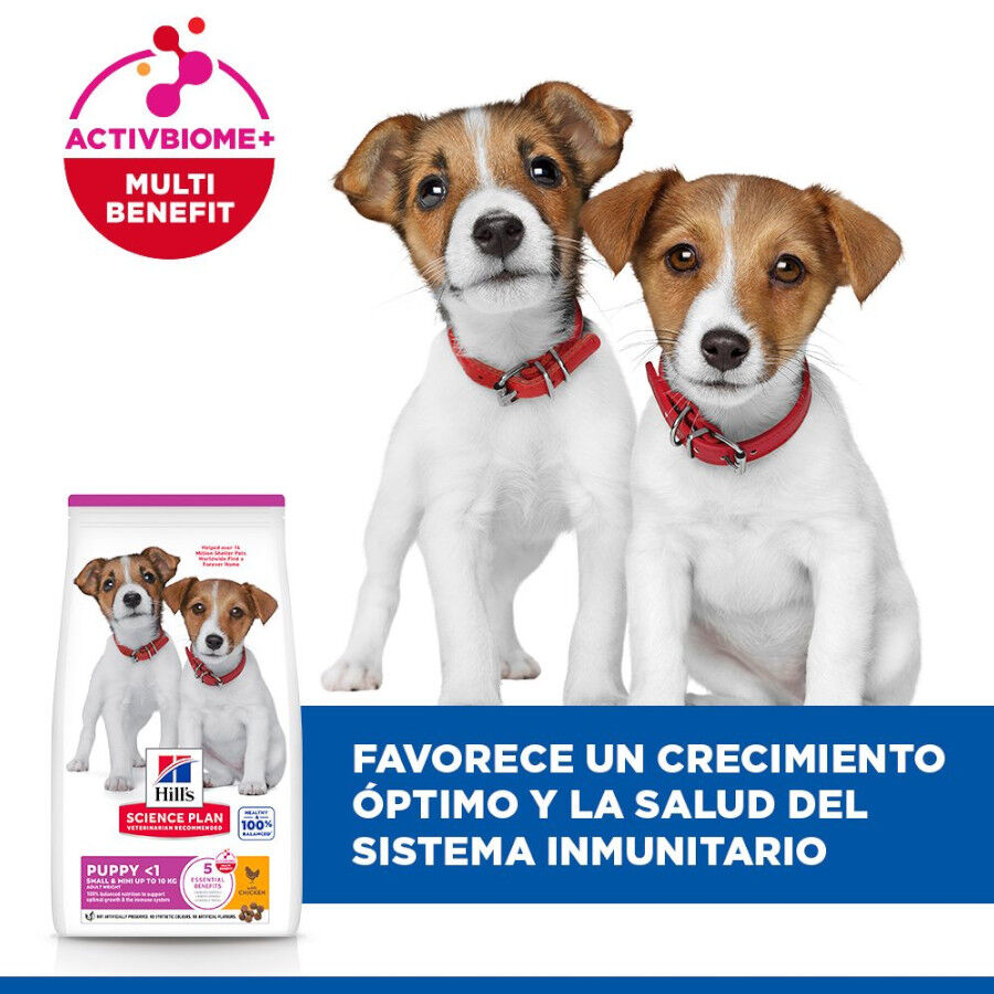 Hill&#039;s Science Plan Puppy Small y Mini Pollo Pienso para cachorros thumbnail