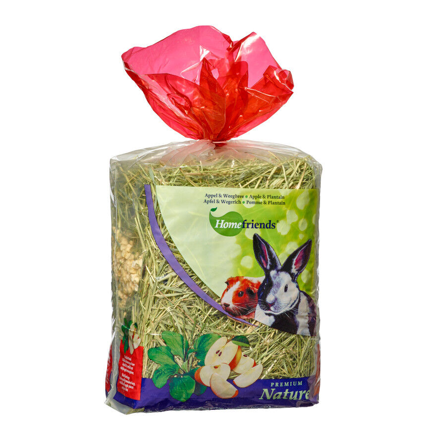 Home Friends Heno Manzana para roedores, , large Imagen numero 1