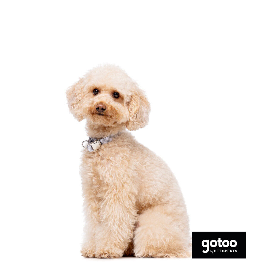 Gotoo Collar estampado cuadro vichy gris para perros thumbnail