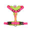 X-TRM Cronos Neon Flash Arn&eacute;s Fucsia para perros, , large indicador imagen numero 2