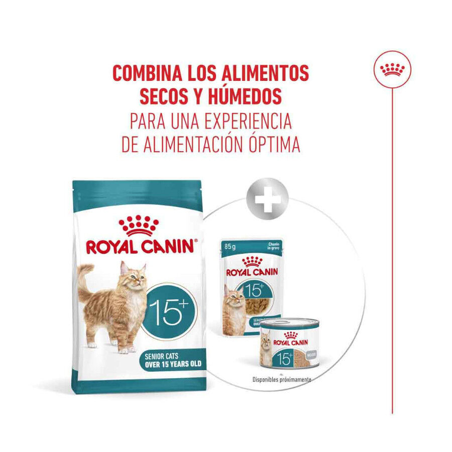 Royal Canin Ageing +15 pienso para gato senior thumbnail