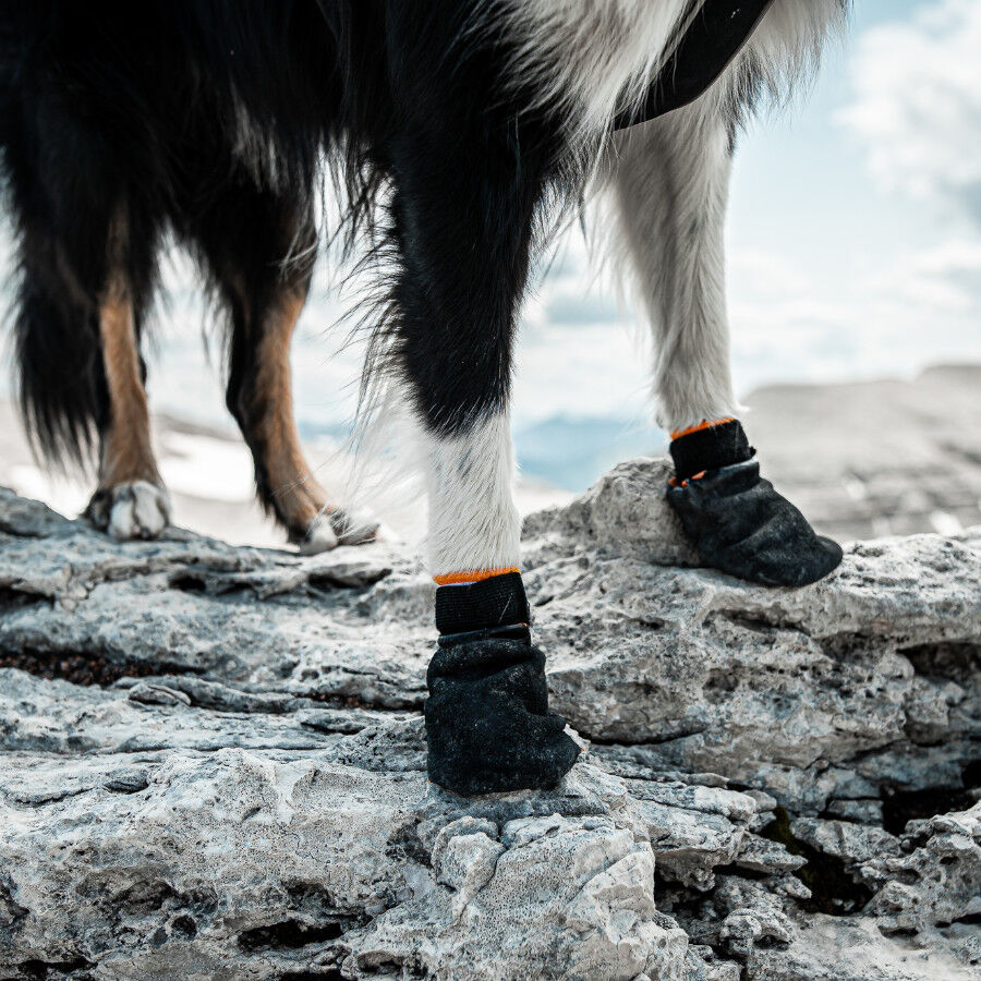Non-stop dogwear Protector Botín Negro y Naranja para perros thumbnail