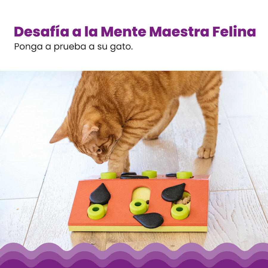 Catstages Nina Ottosson Puzzle &amp; Play Melon Madness Juguete de Inteligencia para gatos thumbnail