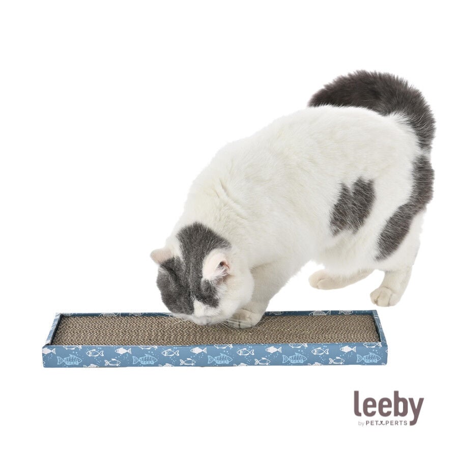 Leeby Fitz tabla rascador de cartón azul para gatos thumbnail