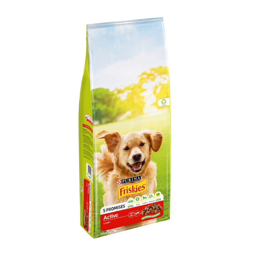 Friskies Active Pienso para perros