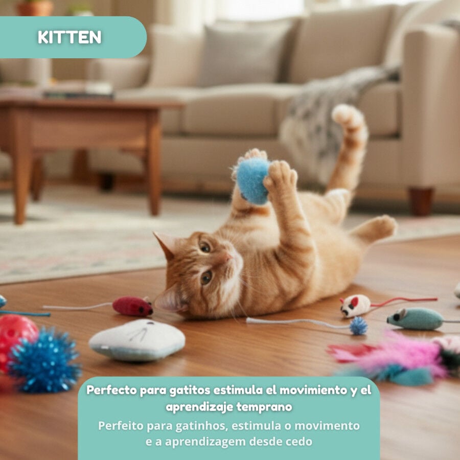 Tootoy! Caja de Juguetes Variados para gatitos thumbnail