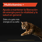 Pro Plan Multivitamins + para gatos, , large image number null
