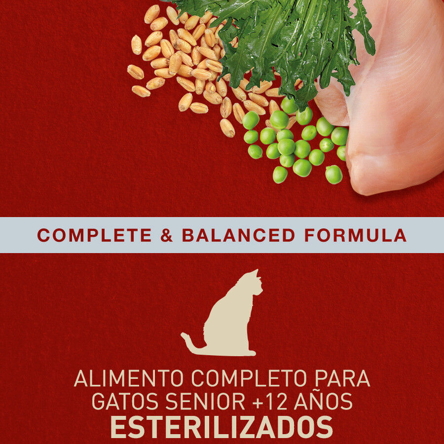 Catxtreme Senior Sterilised Pollo y Guisantes pienso para gatos thumbnail
