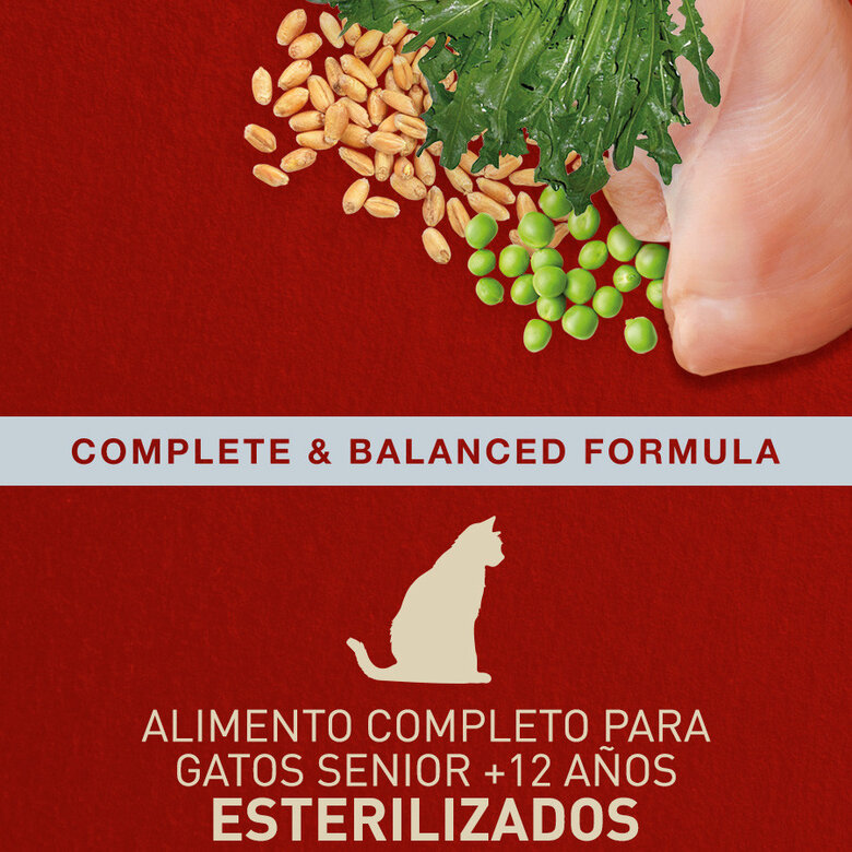 2.5 kg Catxtreme Senior Sterilised Pollo y Guisantes pienso para gatos,  Imagen numero 3 2.5 kg Catxtreme Senior Sterilised Pollo y Guisantes pienso para gatos, , large Imagen numero 3