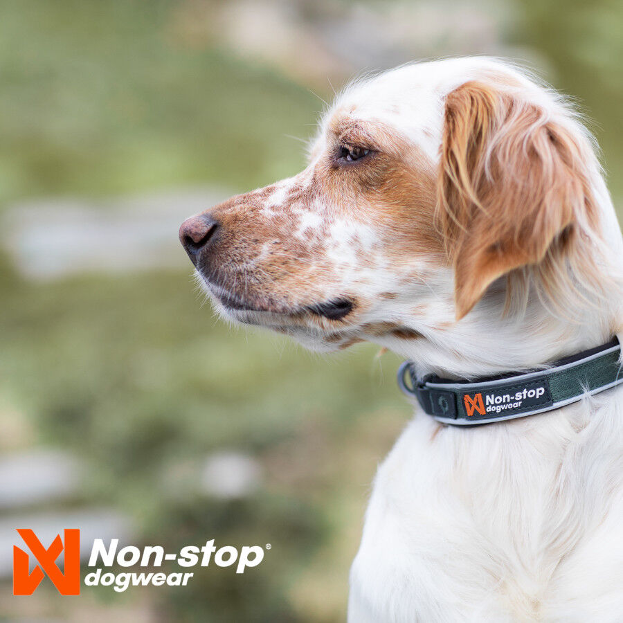 Non-stop dogwear Roam Collar Verde para perros thumbnail