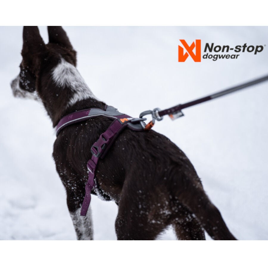 Non-stop dogwear Line 5.0 Arnés Púrpura para perros thumbnail