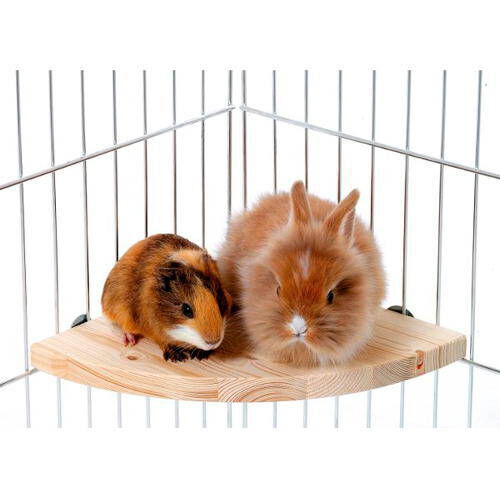 Flamingo Plataforma de madera para roedores, , large Imagen numero 1