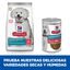 6 kg Hill's Science Plan Hipoalergénico Small y Mini Salmón pienso para perros, , large indicador imagen numero 3
