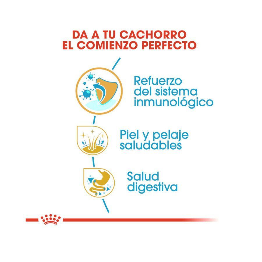 Royal Canin Puppy Golden Retriever pienso para perros thumbnail