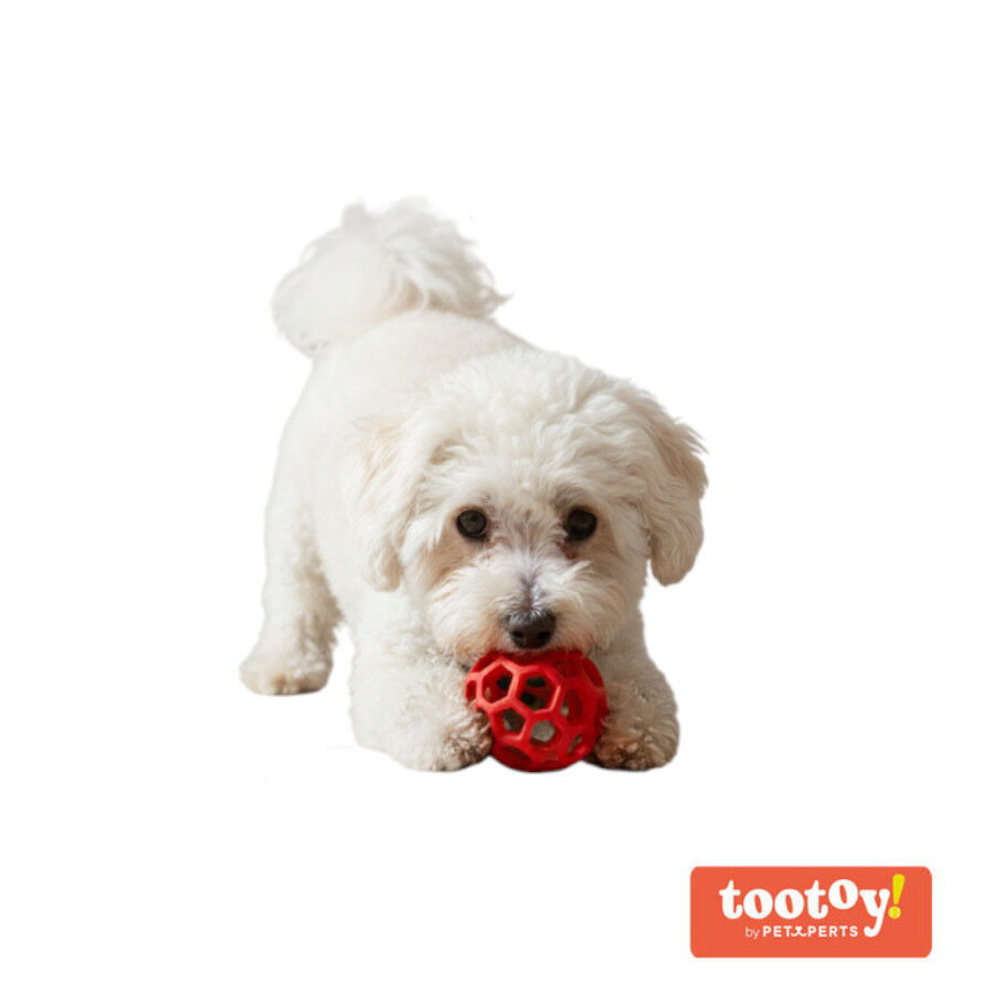 Tootoy! Pelota Easy Grip Hexagonal para perros, , large Imagen numero 7