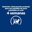 2 x 3 kg Hill's Prescription Diet Weight Loss Pollo pienso r/d para gatos ¡Pack ahorro!, , large indicador imagen numero 5