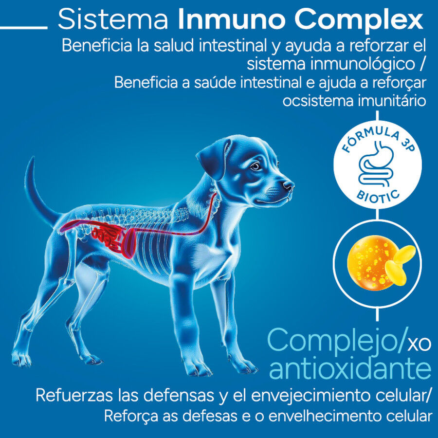 Criadores Científico Medium Maxi Pienso Pollo para cachorros thumbnail