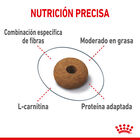 Royal Canin Feline Sterilised Appetite Control image number null