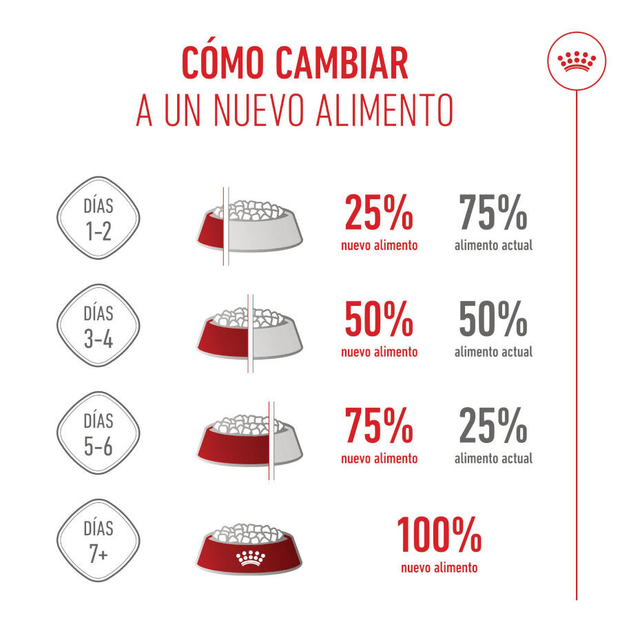 Royal Canin Starter Puppy Giant Pienso para perros thumbnail