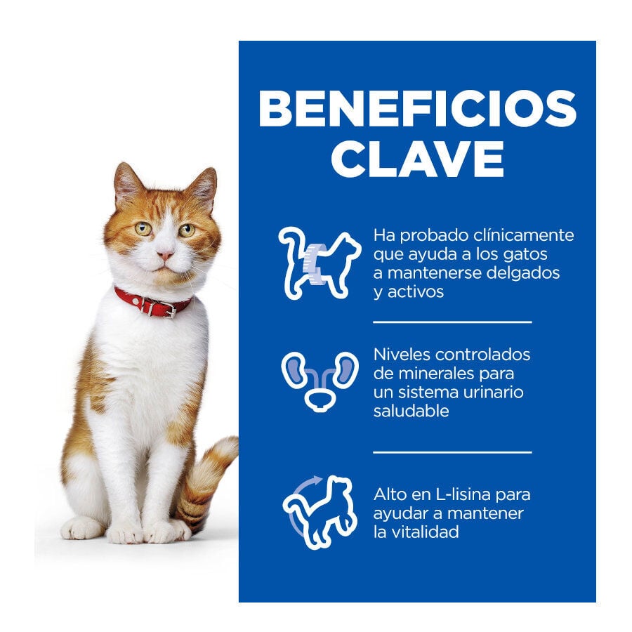 85 g Hill's Science Plan Sterilised Young Adult Trucha Sobre en Salsa para gatos, , large Imagen numero 5
