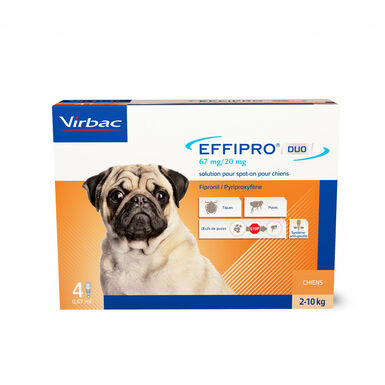 Effipro pipetas antiparásitos perros pequeños entre 2-10 kg