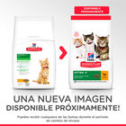 Hill's Science Plan Kitten Pollo pienso, , large image number null