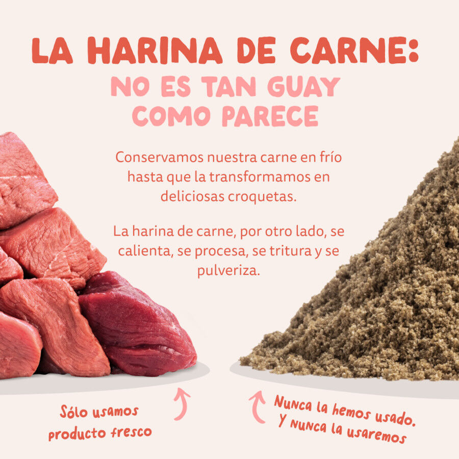 12 kg Edgard & Cooper Senior Salm&oacute;n Noruego y Pollo pienso para perros, , large Imagen numero 9