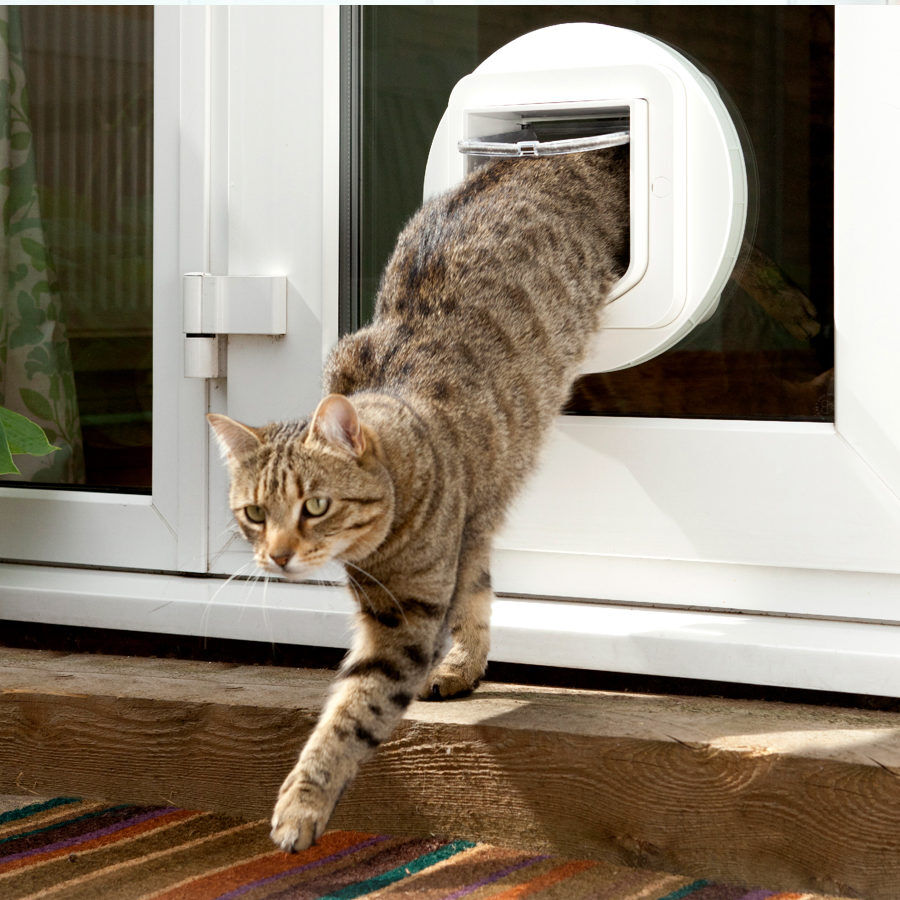 Sure Petcare SureFlap Puerta Automática Blanca con Microchip thumbnail