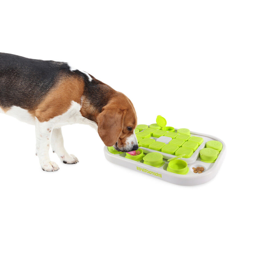 All For Paws Interactives Juguete Rompecabezas Sokudo para perros, , large Imagen numero 1