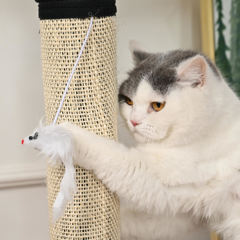 Leeby Tito rascador para pata de mesa con juguete para gatos,  Imagen numero 8 Leeby Tito rascador para pata de mesa con juguete para gatos, , large Imagen numero 8