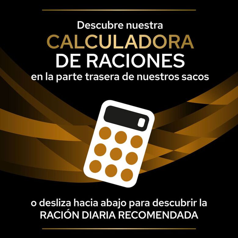 Pro Plan Veterinary Diets Renal latas para perros thumbnail