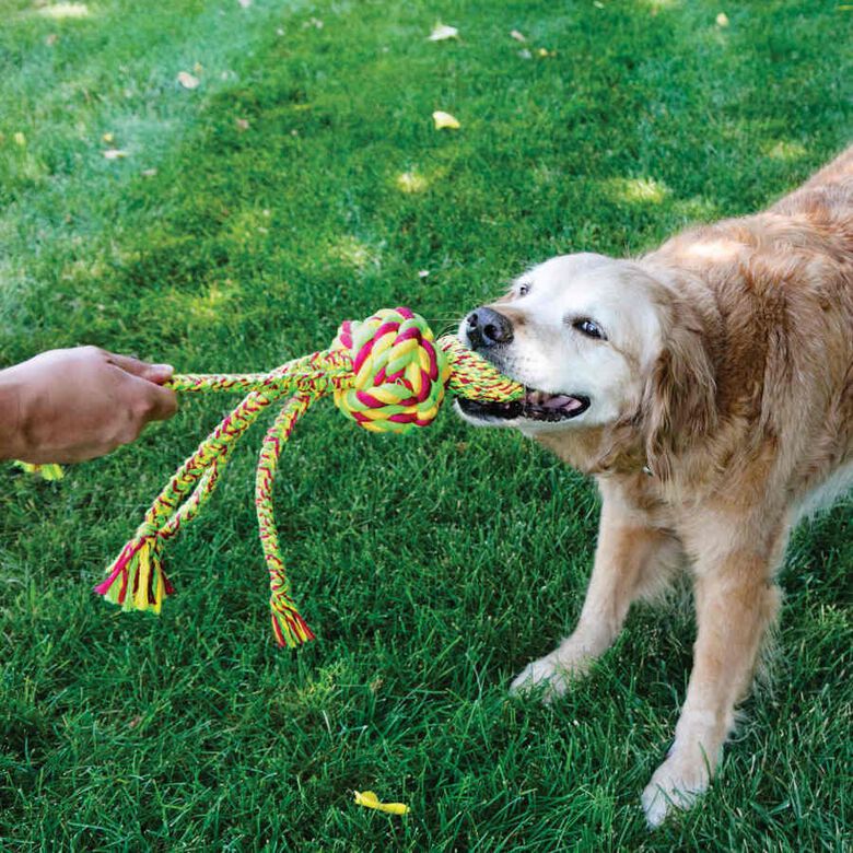 Kong Wubba Weaves Cuerda para perros thumbnail