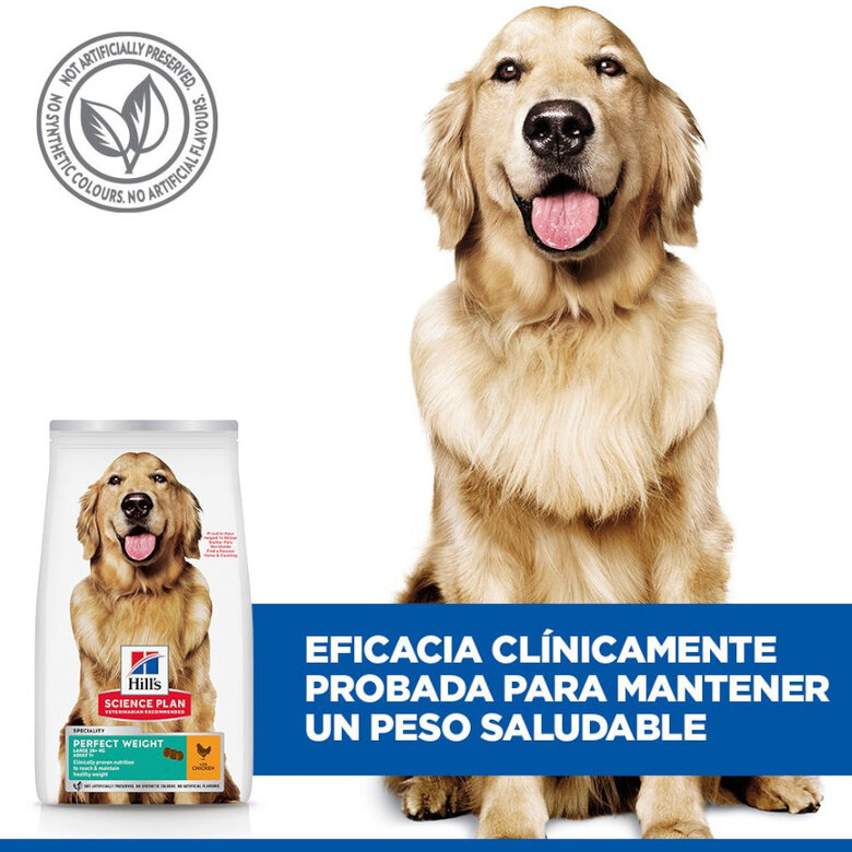 12 kg Hill's Science Plan Perfect Weight Adult Large Pollo pienso para perros,  Imagen numero 5 12 kg Hill's Science Plan Perfect Weight Adult Large Pollo pienso para perros, , large Imagen numero 5