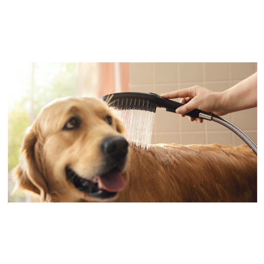 Hansgrohe Alcachofa de Ducha Negra para perros thumbnail
