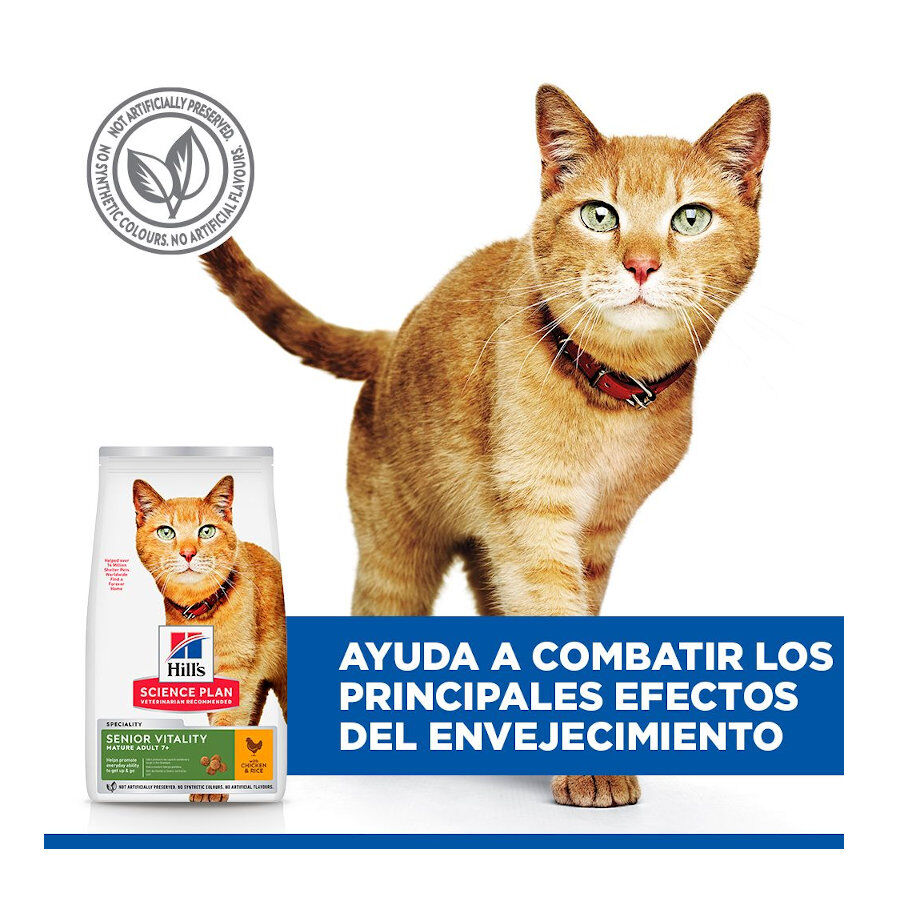 1.5 kg Hill's Science Plan Youthful Vitality Pollo pienso para gatos, , large Imagen numero 6