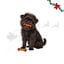 1 pack x 2 uds. Wonder Christmas D&uacute;o Huesos Piel Prensada Snacks para perros, , large indicador imagen numero 1